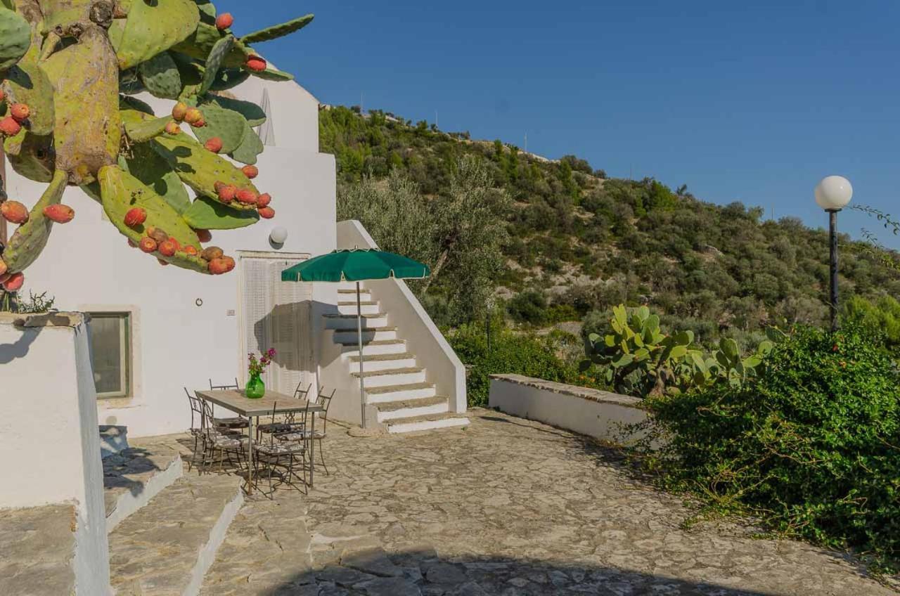 Agriturismo Madonna Incoronata Mattinata Exteriér fotografie